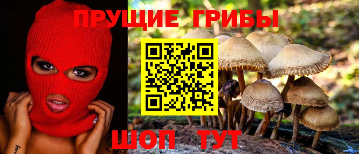 Галлюциногенные грибы MAGIC MUSHROOMS Сергиев Посад